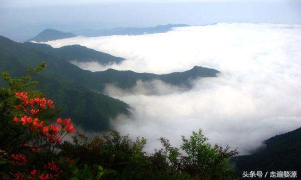 婺源千年茶乡,中国最美乡村婺源有什么美食
