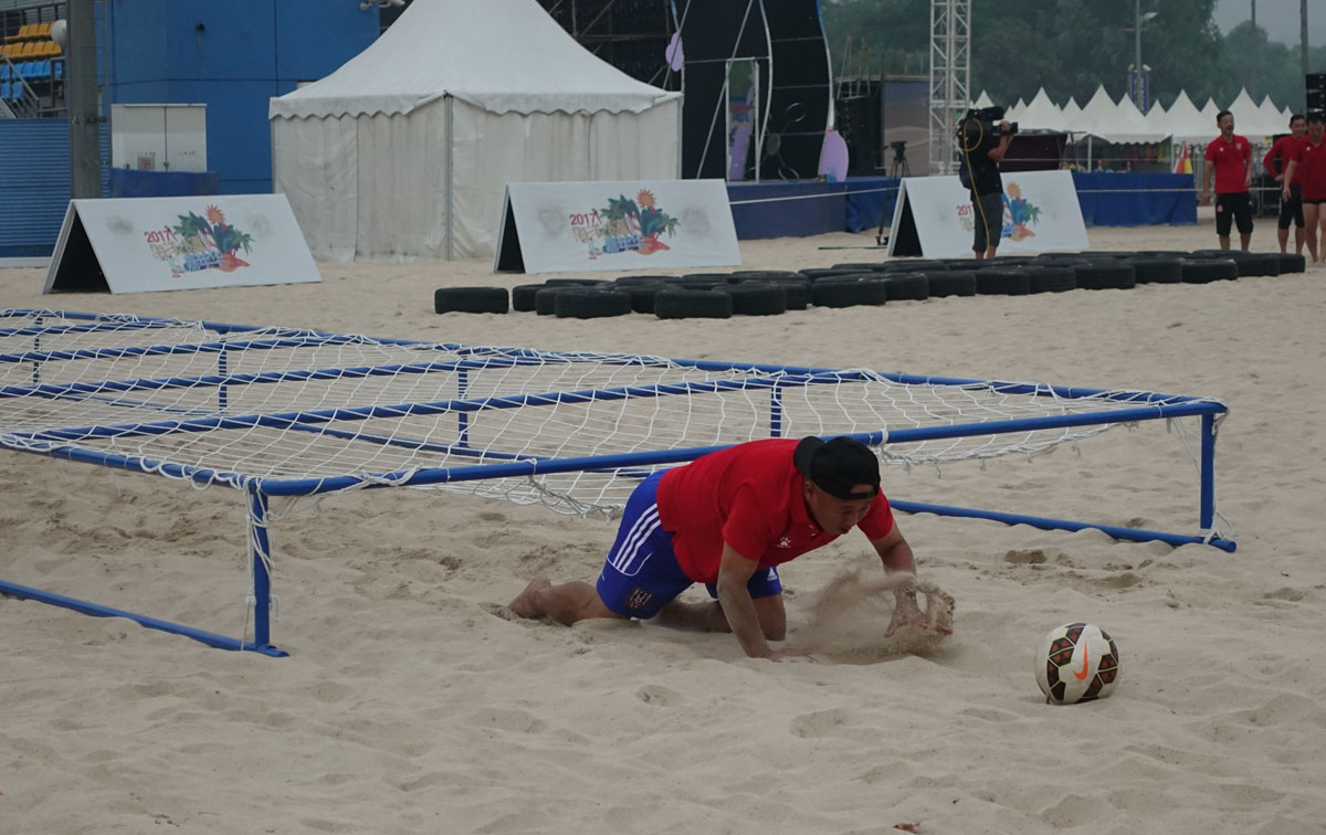 汪星人大战螃蟹,汪星人大战龙虾