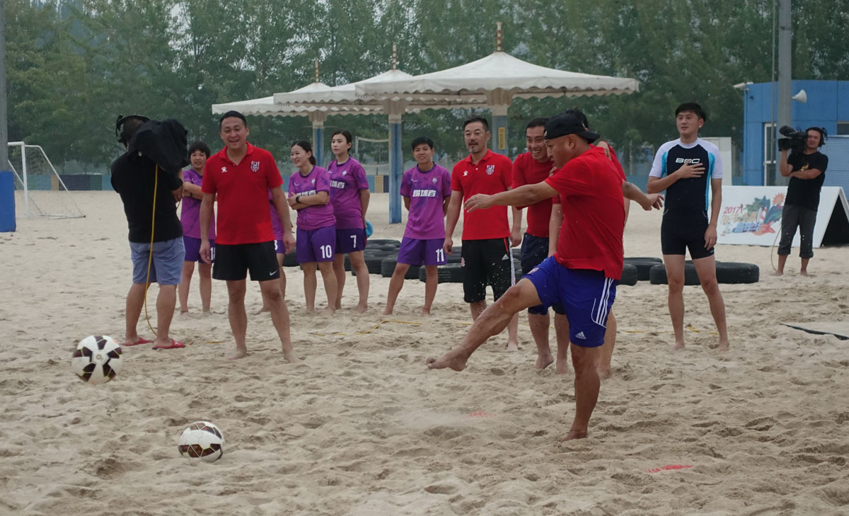 汪星人大战螃蟹,汪星人大战龙虾