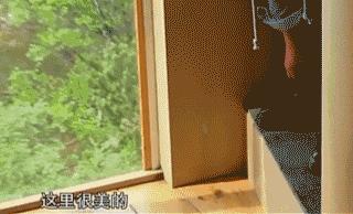 “神一样的种草机”《旅途的花样》名不虚传，这次深度挖掘了挪威