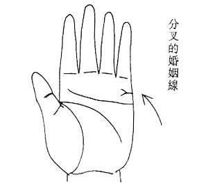 姻缘线断了有什么后果,婚姻线分叉怎么看几段姻缘