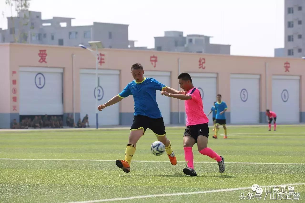 卫士动力110,卫士动力