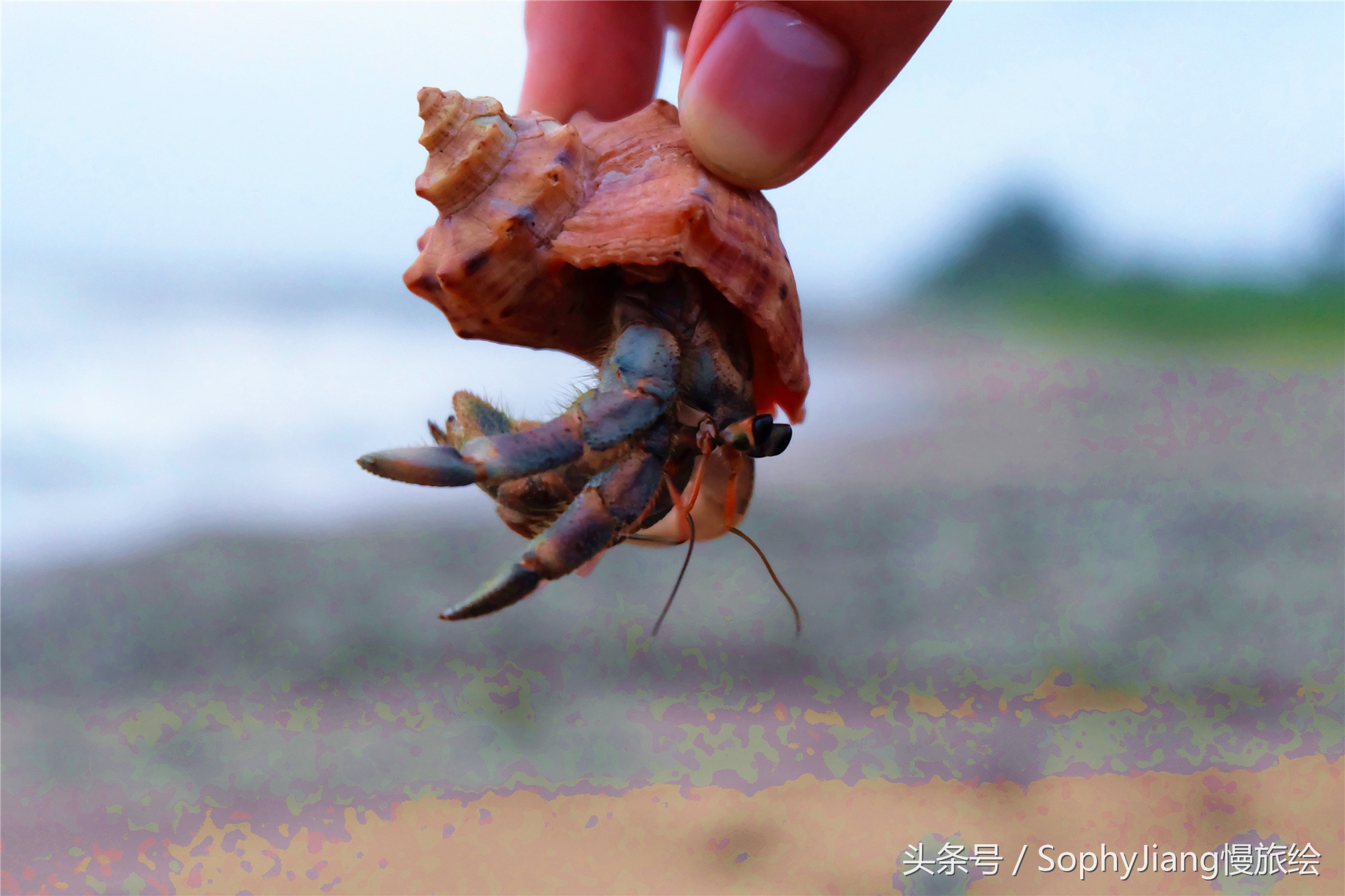 鍨︿竵涓婚姘戝,鍨︿竵绾康鍝佹湁鍝簺