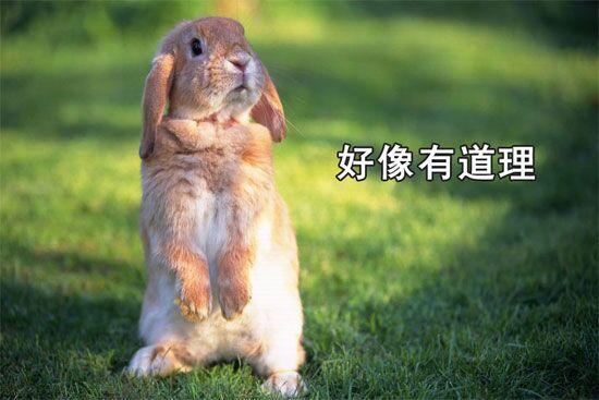 终于知道军训为什么让带手机了，原来是用手机来做这个