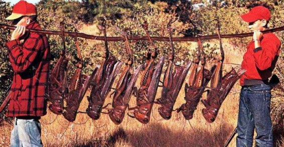 巨大的人体器官,10个人体器官最大的世界纪录