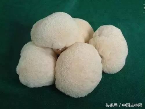 到吉林玩买啥、吃啥？再也不用刘烨代购吉林土特产了！