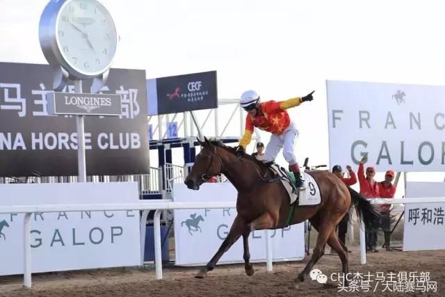 国际驭马文化节展示,cecf国际驭马文化节