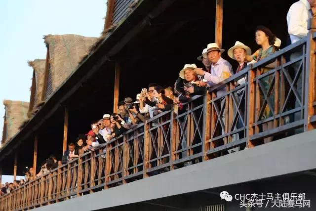 国际驭马文化节展示,cecf国际驭马文化节