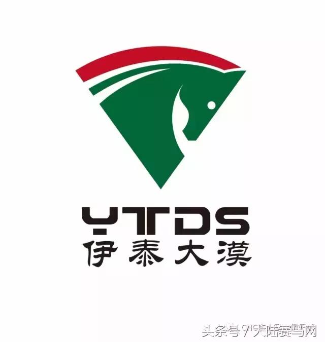 国际驭马文化节展示,cecf国际驭马文化节