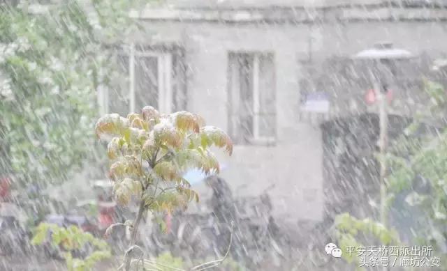 桥西记事：不忘初心风雨兼程