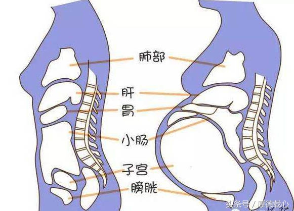 孕晚期感到气短,孕晚期心慌气短胸闷恶心怎么处理