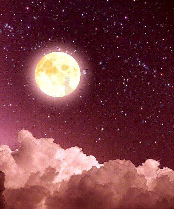 赵丽颖用这3张照片告诉你答案,赵丽颖为爱奋不顾身