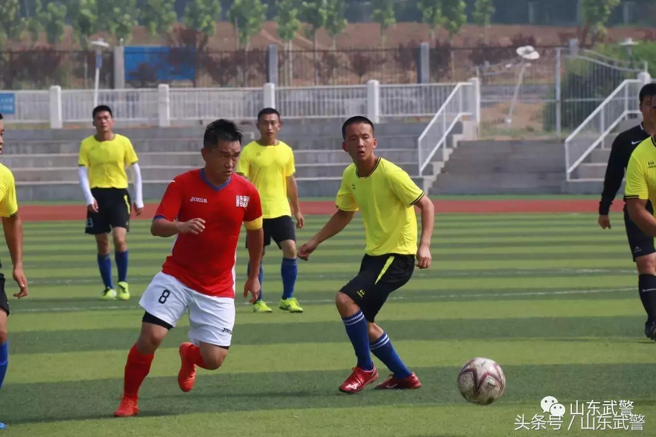 卫士动力110,卫士动力