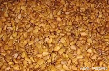 到吉林玩买啥、吃啥？再也不用刘烨代购吉林土特产了！