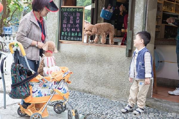 女子带狗狗到餐厅吃饭警方通报,女子带着泰迪到餐厅吃饭