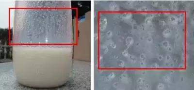 奶粉挂壁好不好,奶粉挂壁要紧么