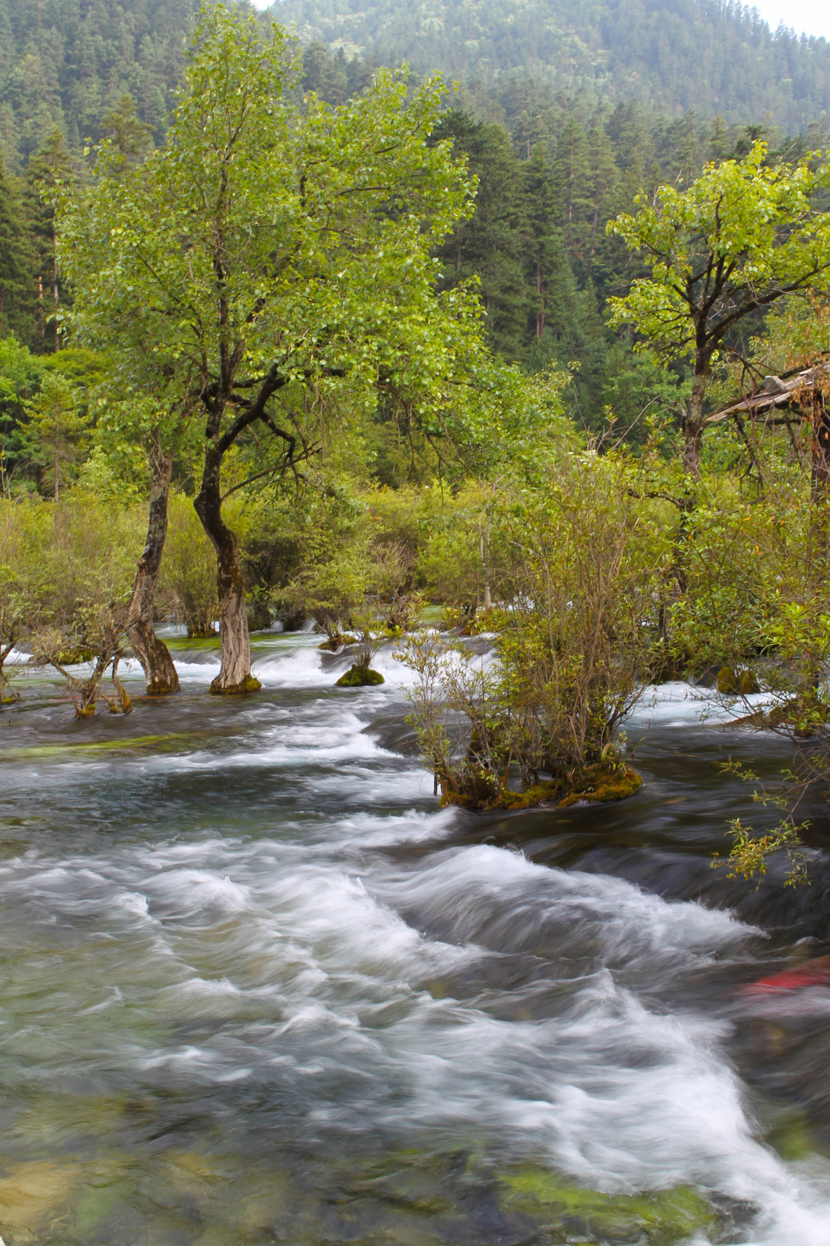 地震前的九寨沟美景,航拍地震前九寨沟所有景点