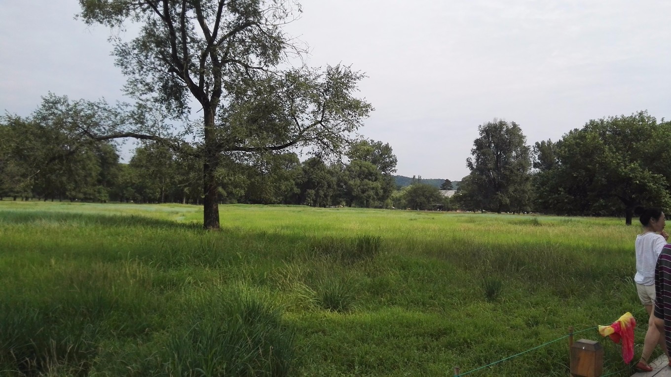 承德15人的民宿推荐,承德紫塞网农家院攻略