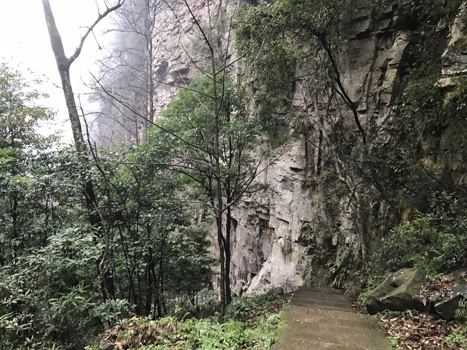 七天六晚长沙张家界吃货视角带你领略冰天雪地的张家