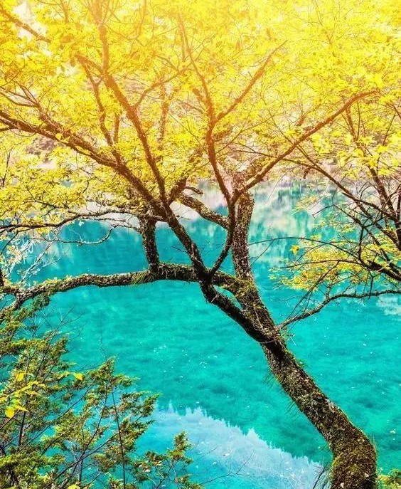 金山岭长城最美时间,金山岭长城景色哪段最美