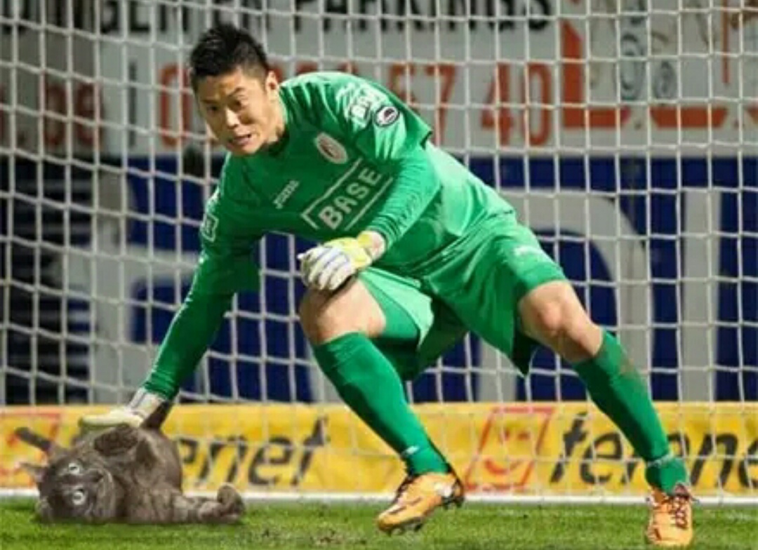 把足球p成猫,网友p的足球搞笑视频