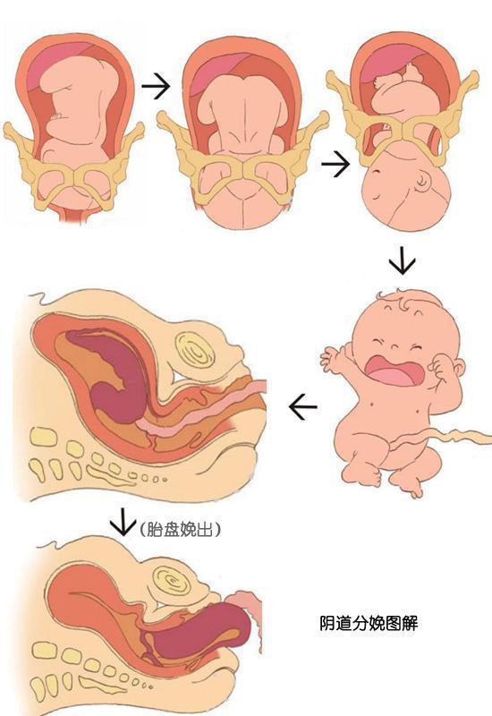 都说顺产好恢复，我顺产后却痛了近两个月！