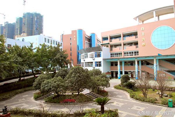 从幼升小到小升初,成都幼升小小学是自己选吗