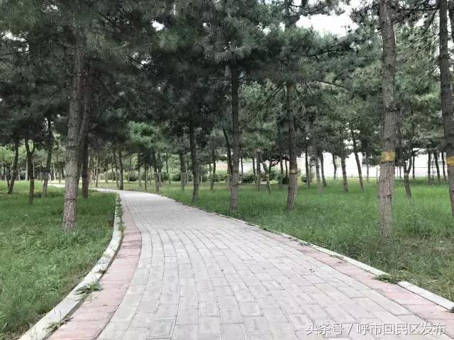 呼和浩特市新钢公园,新钢公园位置