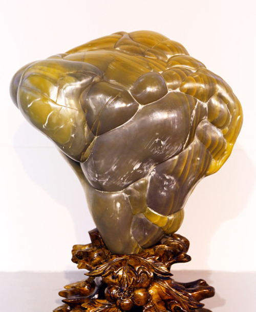 长满小疙瘩的石头,浑身起的密密麻麻的疙瘩不痒