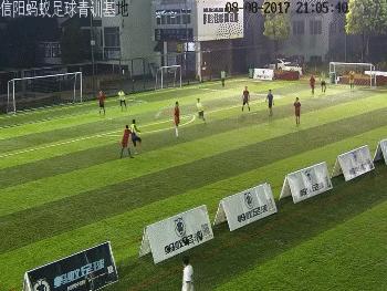 信阳蚂蚁足球赛事,浉河区蚂蚁足球