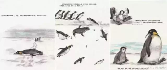 在动物园如何给孩子科普动物知识,7-12岁儿童动物世界科普