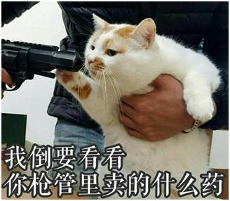 斜杠创业前景如何,斜杠的创业之路