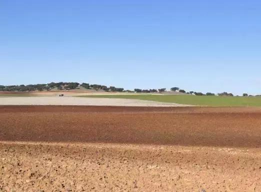 农民土地被占,土地是农民的根本命脉