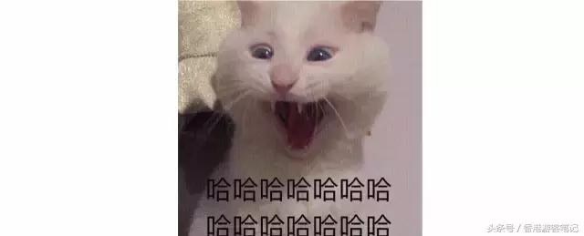 日本COSME榜单中21款平价好用到断货的东西，我必须推荐！