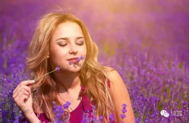 伊帕尔汗玫瑰纯露气味,洋甘菊纯露气味难闻正常吗