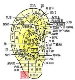中医对白癜风的认知和治疗,白癜风科普中医治疗白癜风的优势