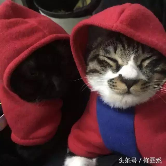 修图师会用哪些修图软件,修图师都用ps么