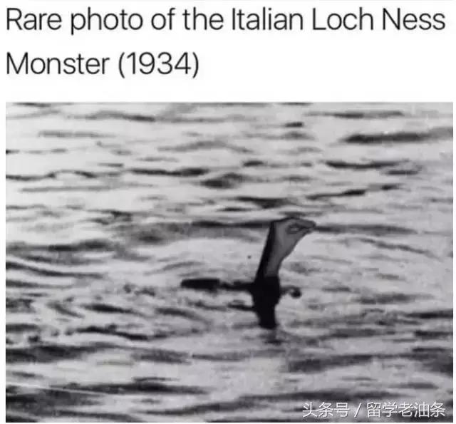 职高去意大利留学要学意大利语吗,去意大利留学只学语言