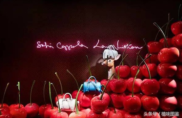 不出国门就能买到全球好物,不出家门看遍世界