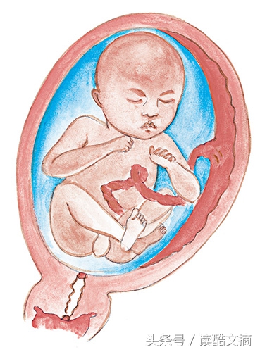 唐氏筛查6类人群,唐氏筛查孕妇详解