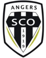 2017法国联赛排名,2017-2018法甲具体赛程