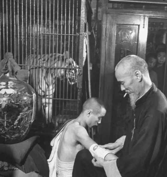 民国时期中药店，敢养这个动物，药店老板胆子太大了！