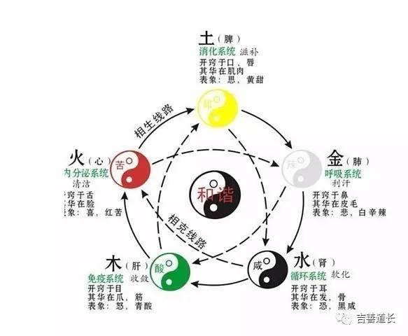 是不是五行缺什么就补什么,是不是五行缺什么就从事什么行业