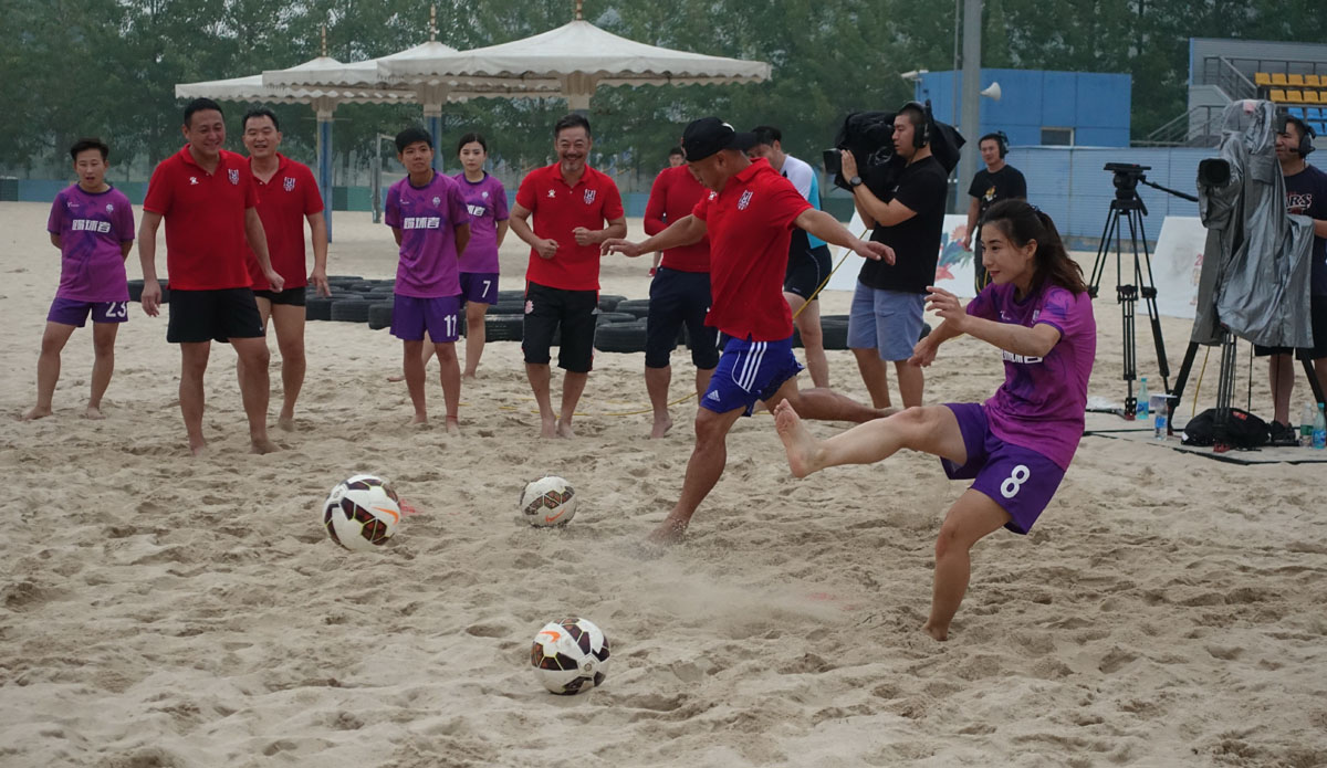 汪星人大战螃蟹,汪星人大战龙虾