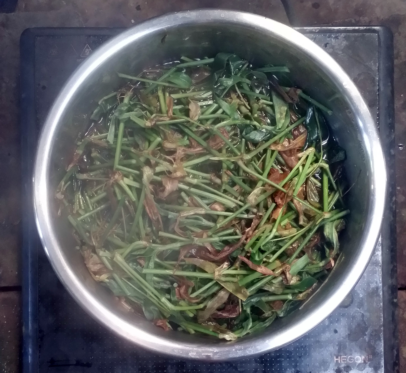 鸭跖草产地,鸭跖草百度