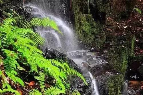 云南昆明悠闲的夏天避暑环境,昆明周边最好的避暑城市