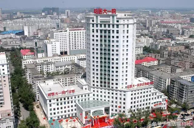 今天哈尔滨哪里免门票,2019哈尔滨免费优惠活动