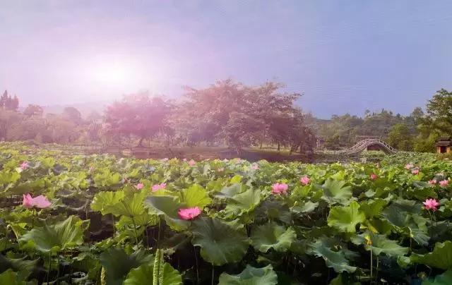 大足石刻详细讲解,大足简短介绍