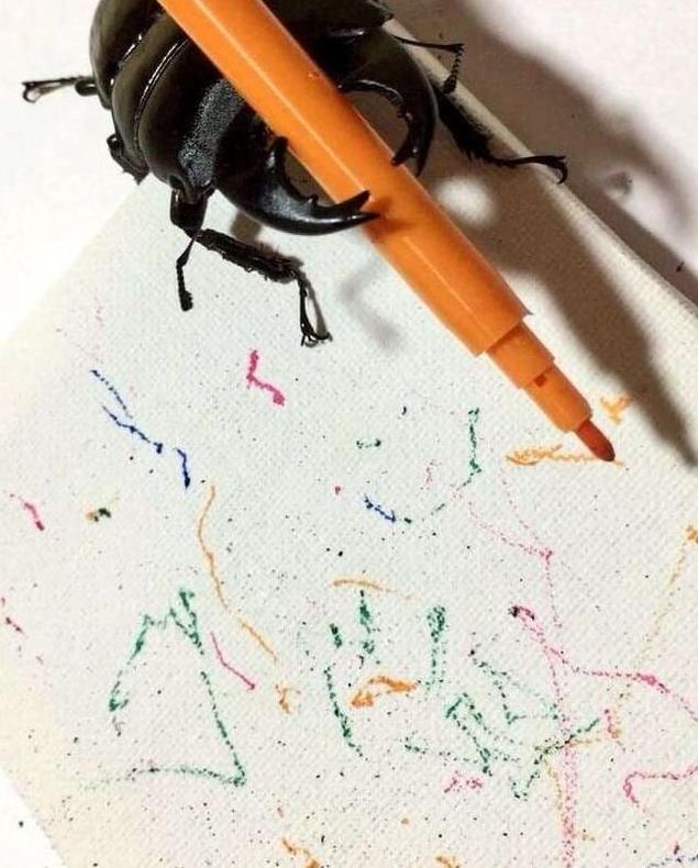 你养的宠物只会花钱，人家日本美女养的宠物会画画，还能挣钱