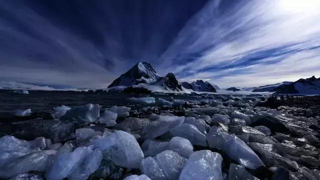 阿里巴巴员工连去十趟南极景色壮美企鹅在腿上睡着